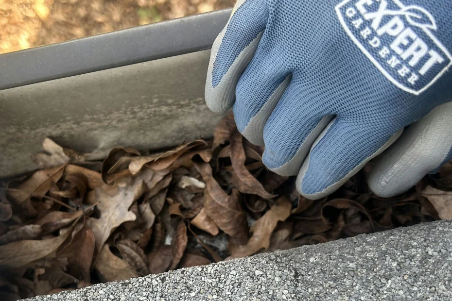 Gutter Cleaning Maggie Valley