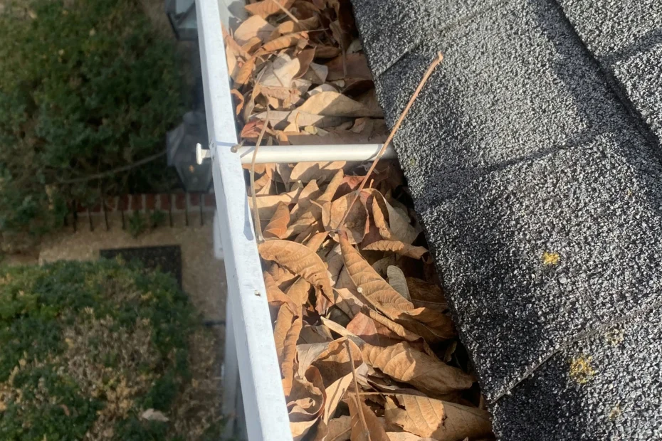 Gutter Cleaning Maggie Valley